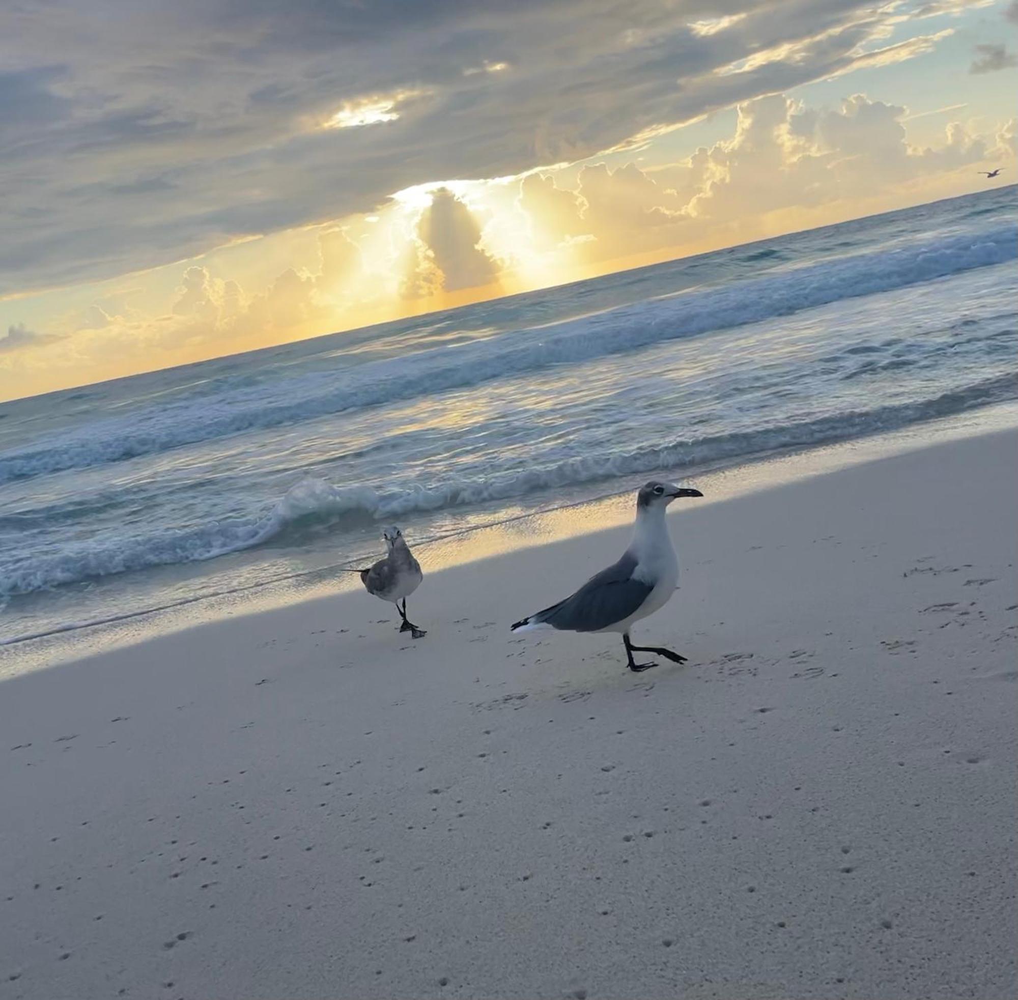 Suite Brisas Cancun Bagian luar foto